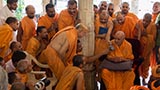  Swamishri in a divine, jovial mood