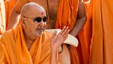  Swamishri in a divine mood