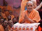  Swamishri in a divine mood