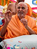  Swamishri in a divine mood