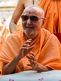  Swamishri in a divine mood
