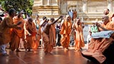 Sadhus rejoice before Swamishri