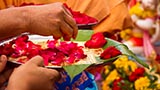  Swamishri performs pujan of yantras