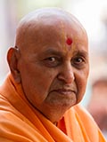  Swamishri blesses devotees