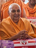  Swamishri in a divine, jovial mood