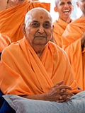  Swamishri in a divine mood