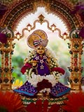  Shri Harikrishna Maharaj