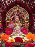  Shri Harikrishna Maharaj