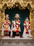  Shri Harikrishna Maharaj and Shri Radha-Krishna Dev
