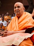  Swamishri in a divine mood