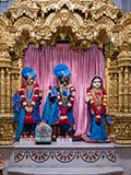  Shri Harikrishna Maharaj and Shri Radha-Krishna Dev