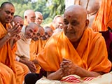  Swamishri in a divine mood