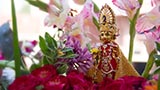  Shri Harikrishna Maharaj
