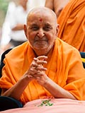  Swamishri in a divine mood