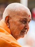  Swamishri in a divine mood