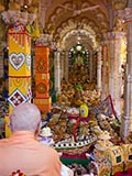  Swamishri engrossed in darshan of annakut