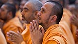  Sadhus engrossed in darshan of Swamishri