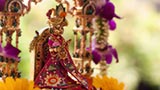  Shri Harikrishna Maharaj
