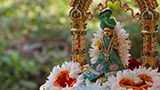  Shri Harikrishna Maharaj