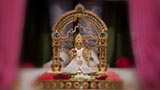  Shri Harikrishna Maharaj