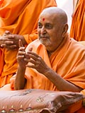  Swamishri in a divine mood