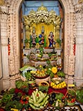  Shri Harikrishna Maharaj and Shri Radha-Krishna Dev