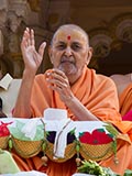  Swamishri blesses devotees