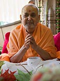  Swamishri in a divine mood