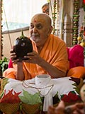  Swamishri holding various fruits and vegetables offered to Thakorji