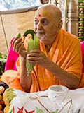  Swamishri holding various fruits and vegetables offered to Thakorji