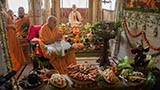  Swamishri engrossed in darshan