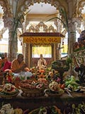  Swamishri engrossed in darshan