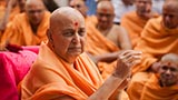  Swamishri in a divine mood