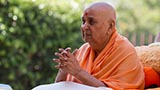 Swamishri engrossed in darshan