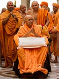 Swamishri in a divine mood
