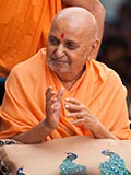  Swamishri in a divine mood