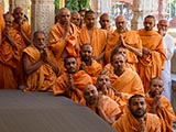  Sadhus doing darshan of Swamishri