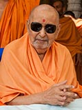  Swamishri in a divine mood