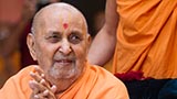  Swamishri in a divine mood