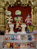  Shri Harikrishna Maharaj and Shri Radha-Krishna Dev