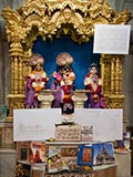 Shri Harikrishna Maharaj and Shri Radha-Krishna Dev