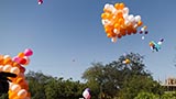  Swamishri releases balloons