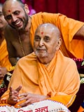  Swamishri in a divine mood