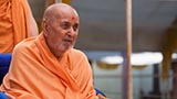  Swamishri in a divine mood