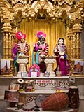  Shri Harikrishna Maharaj and Shri Radha-Krishna Dev