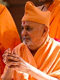  Swamishri in a divine mood