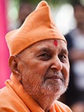  Swamishri in a divine mood