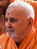 Swamishri in a divine mood