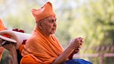  Swamishri engrossed in darshan