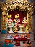  Shri Harikrishna Maharaj and Shri Radha-Krishna Dev